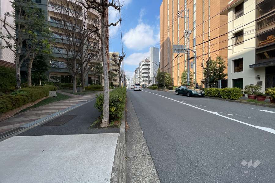 敷地北側の前面道路