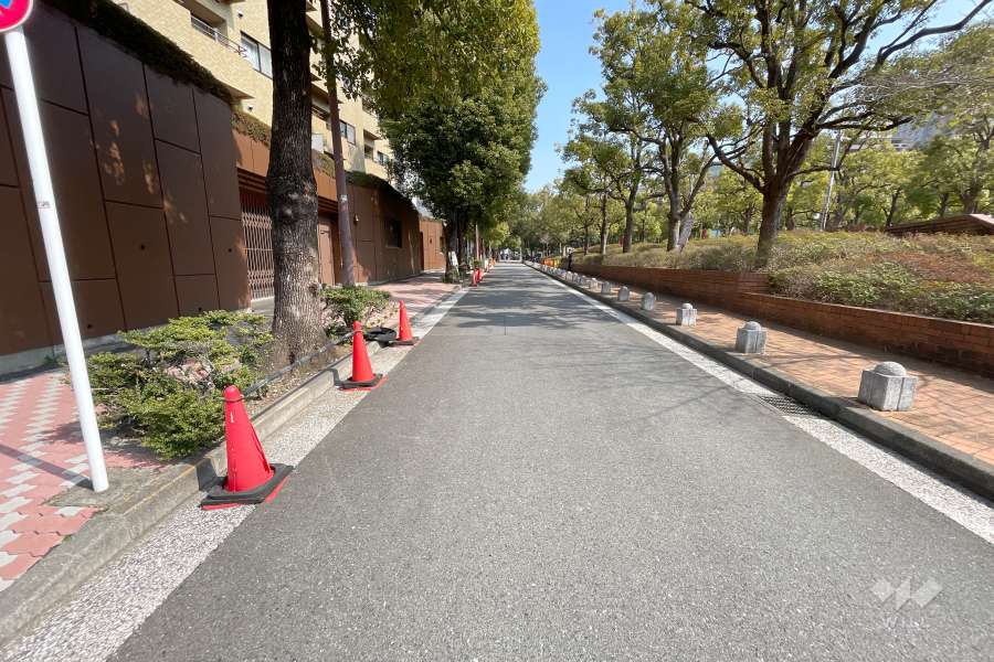 敷地南画の前面道路
