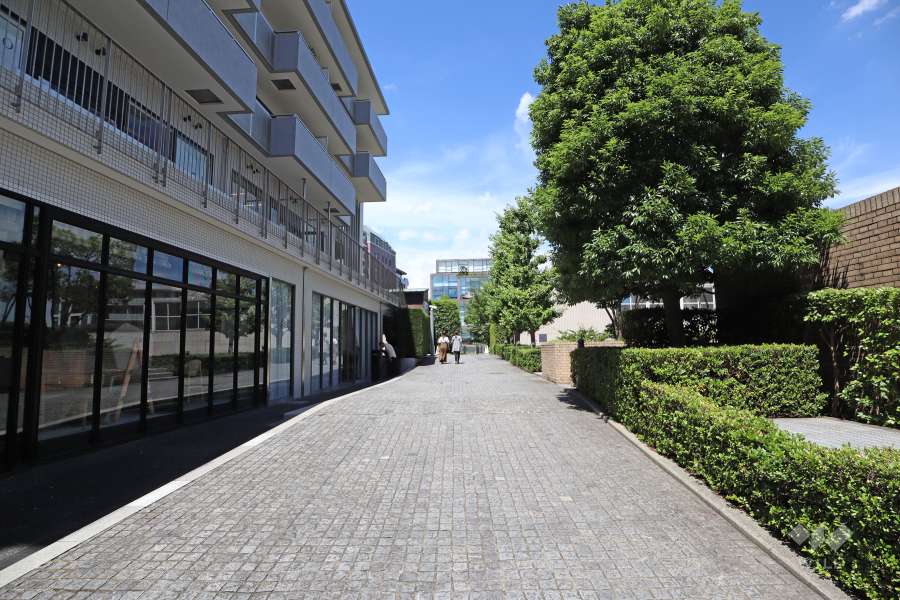 敷地西側の前面道路