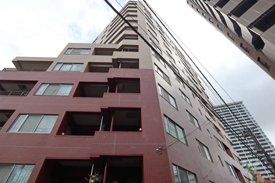 リシェ広尾の外観（南東側から）