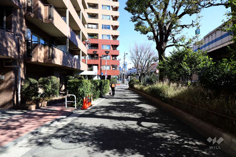 敷地南東側の前面道路