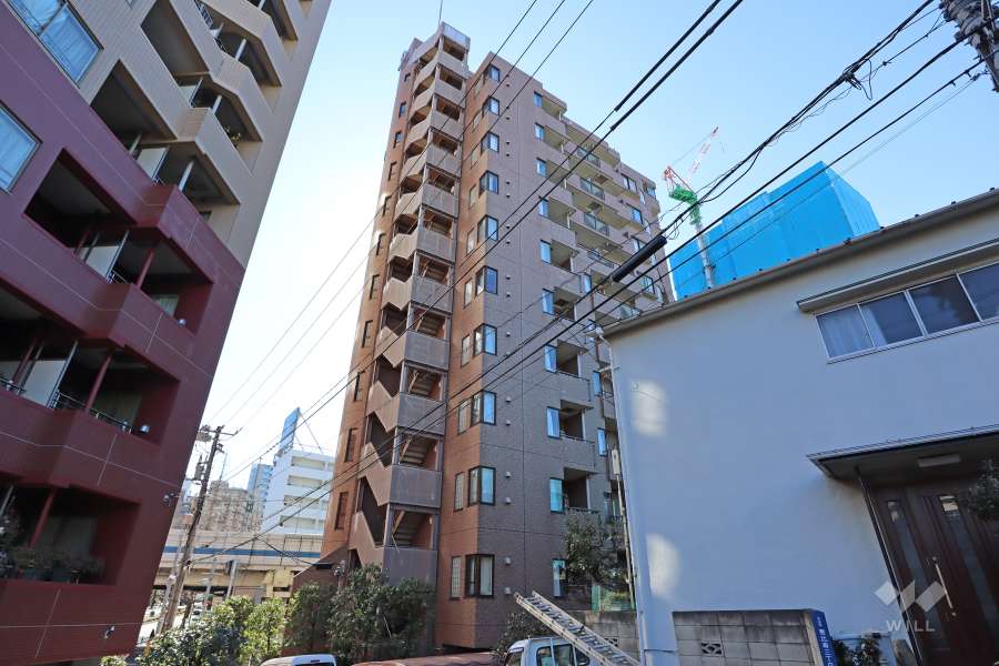 朝日マンション白金通りの外観（北側から）