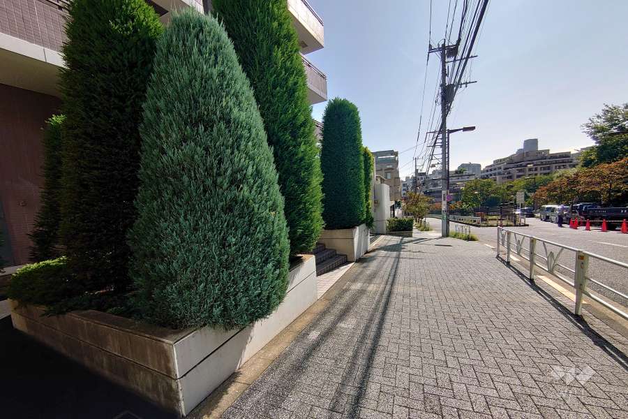 敷地南西側の前面道路（北西側から）