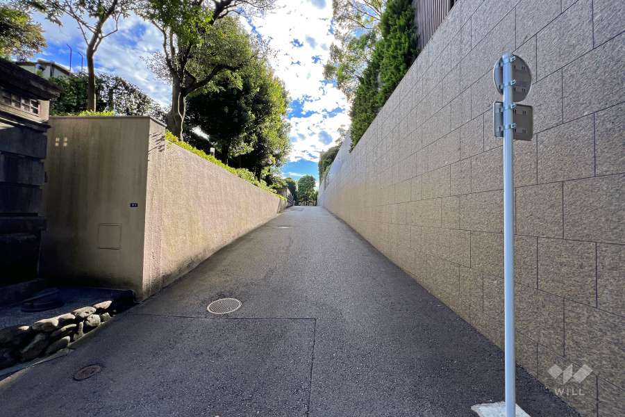 敷地南東側の前面道路（北東側から）