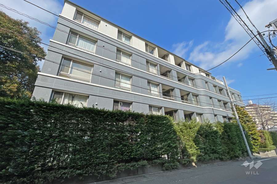 ドレッセ代官山の外観(西側から)