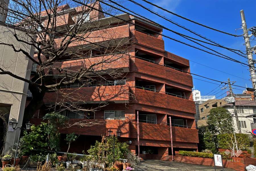 メゾン代官山（恵比寿西）の外観（南東側から）