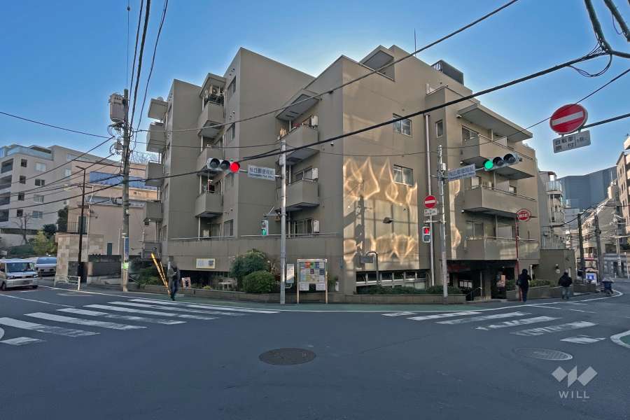 敷地北側前面道路と東側道路。「桜丘郵便局前」交差点の角地に立地しています。