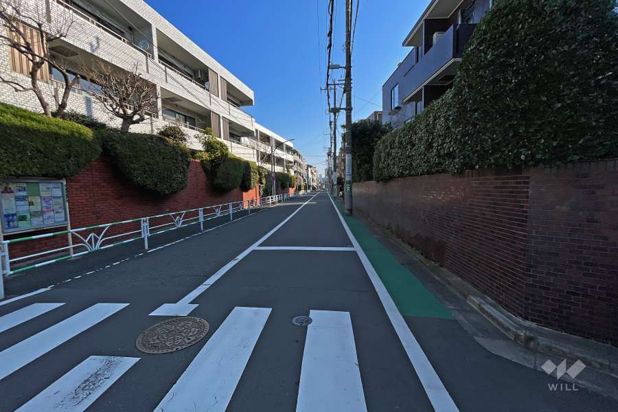 敷地の北西側前面道路（南西側から）