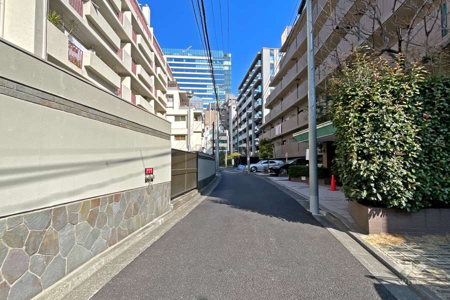 敷地北側の前面道路（南側から）