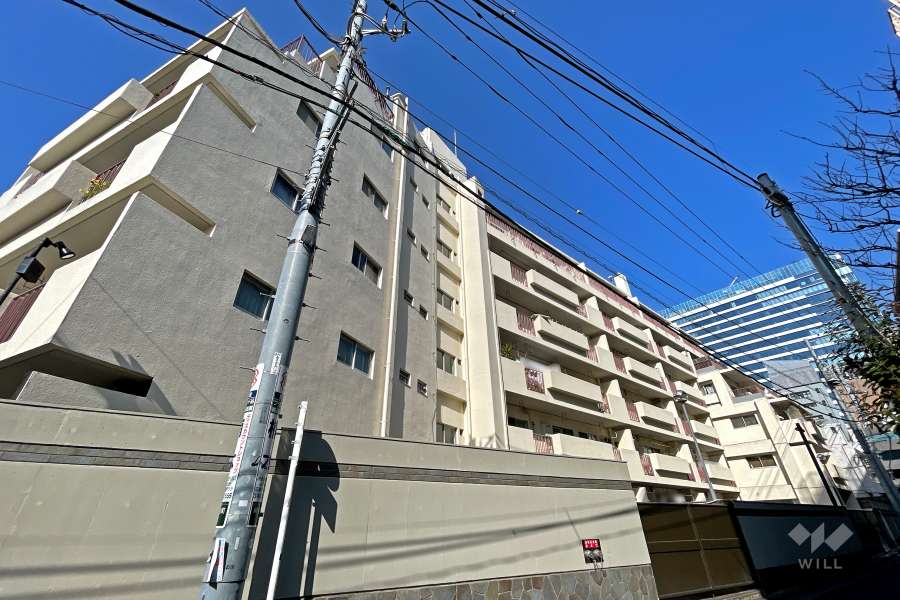 南平台アジアマンションの外観（南東側から）