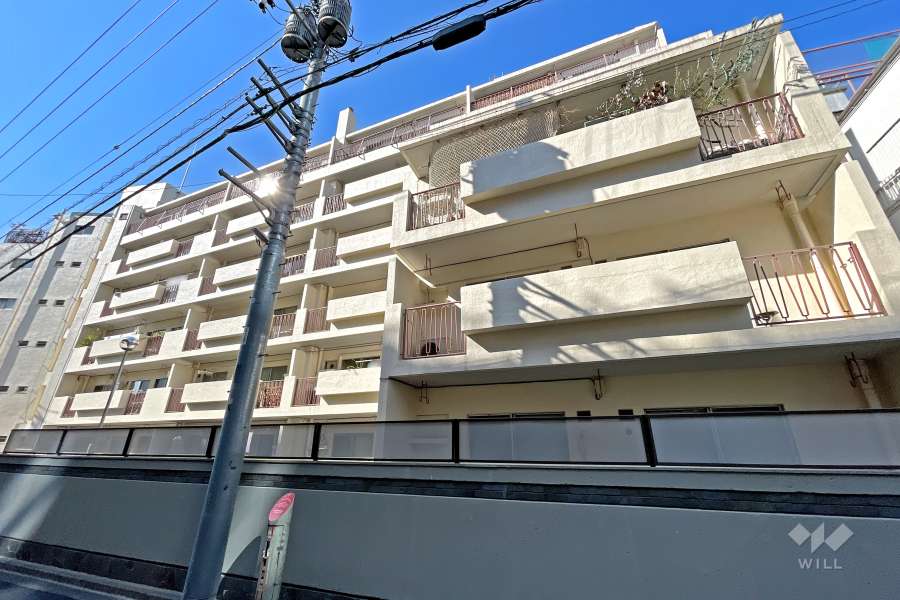 南平台アジアマンションの外観（東側から）