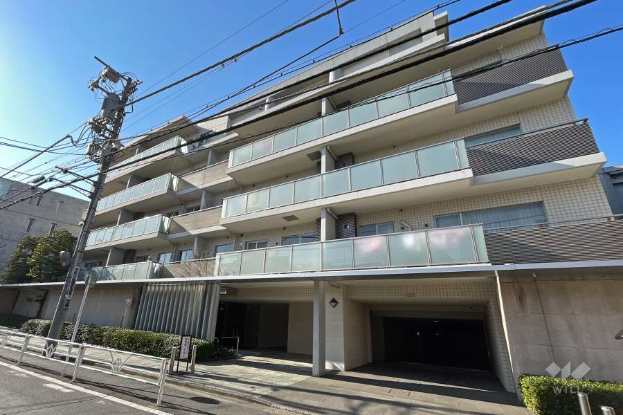 南平台ハウスの外観（東側から）