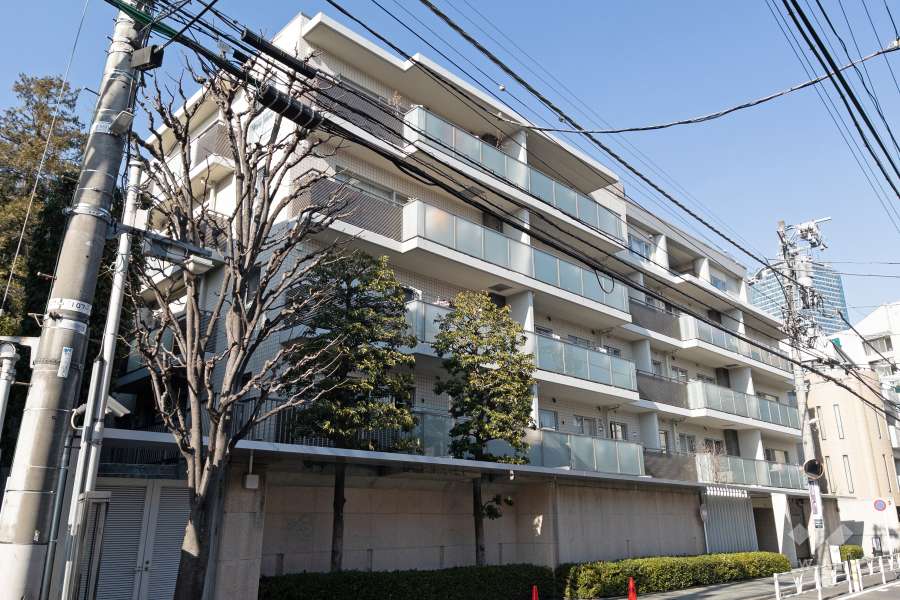 南平台ハウスの外観（南側から）