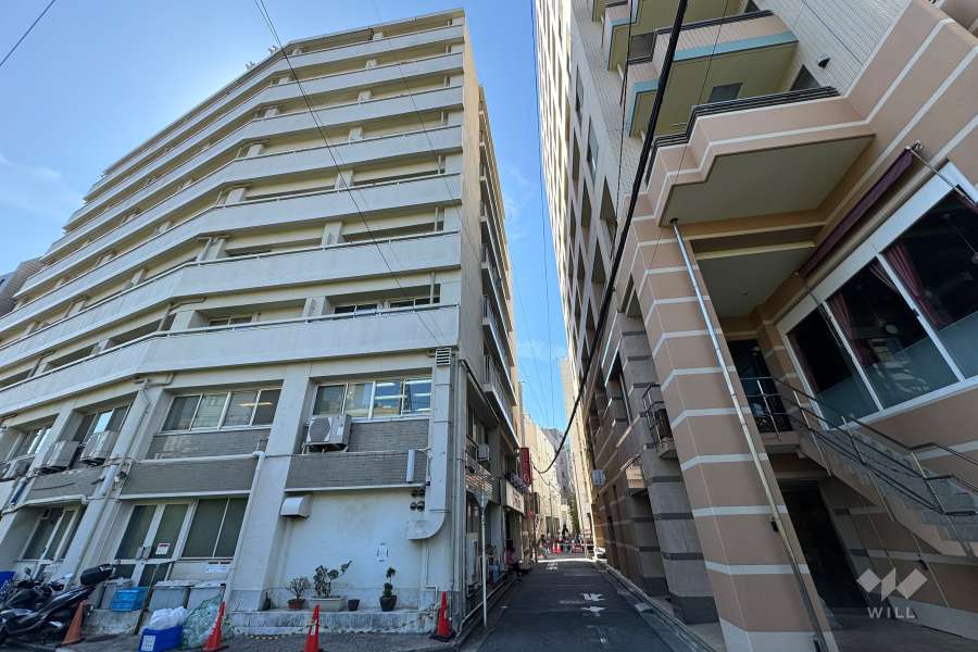 敷地北西側の前面道路（北東側から）