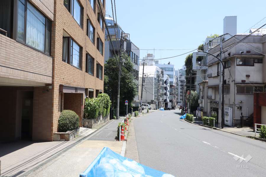 敷地南側の前面道路（西側から）