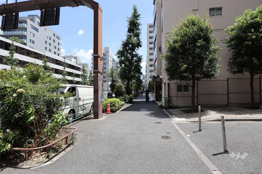 敷地北側の前面道路（西側から）