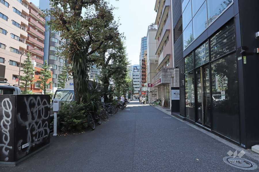 敷地北側の前面道路