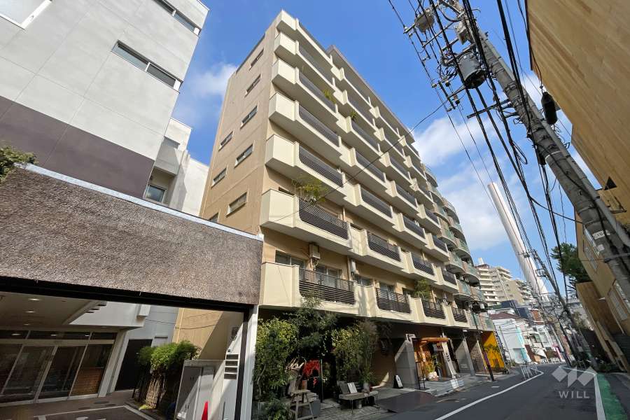 ドッケン代官山ハイツの外観(南側から）