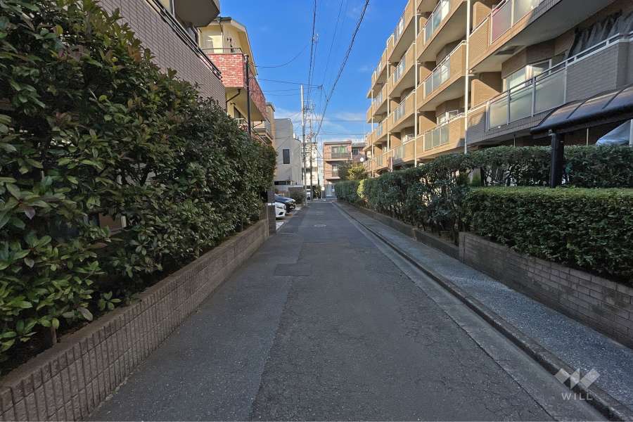 敷地東側の前面道路（南側から）