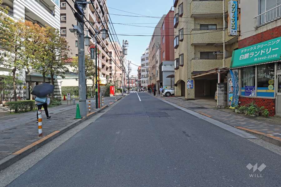 敷地南側の前面道路（西側から）