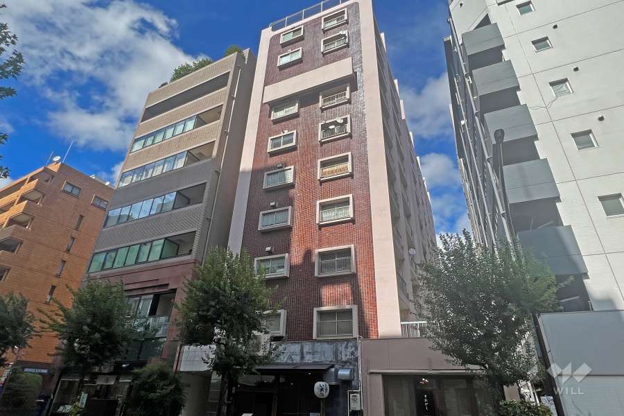 メゾン・ド・エビスの外観(南西側から)