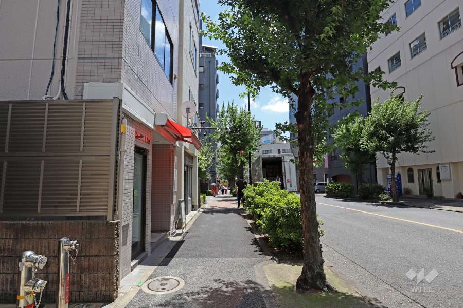 敷地西側の前面道路（北側から）