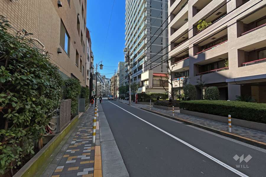 敷地南側の前面道路（東側から）