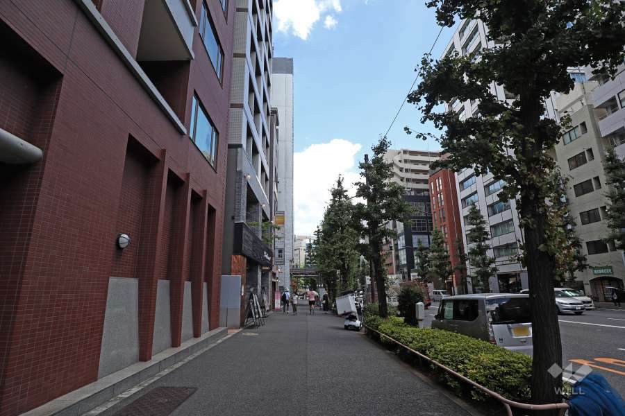 敷地南側の前面道路（西側から）