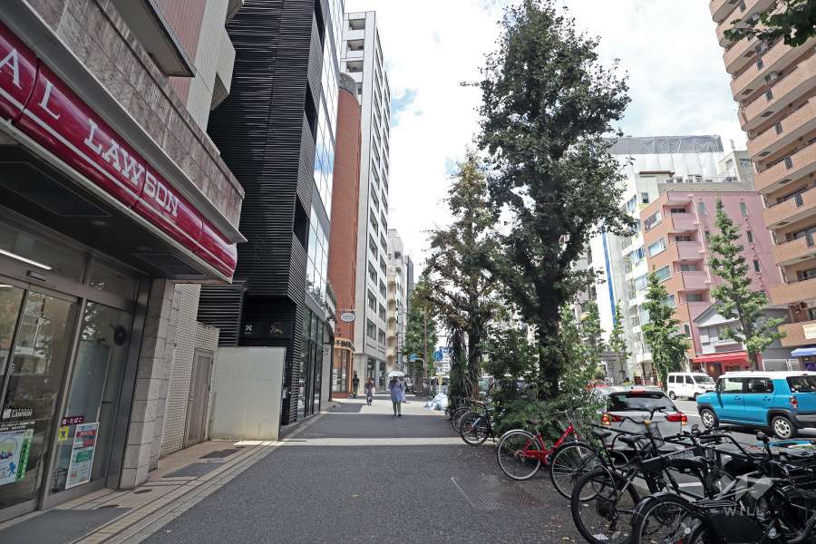 敷地北側前面道路は駒沢通り（都道416号線）です。