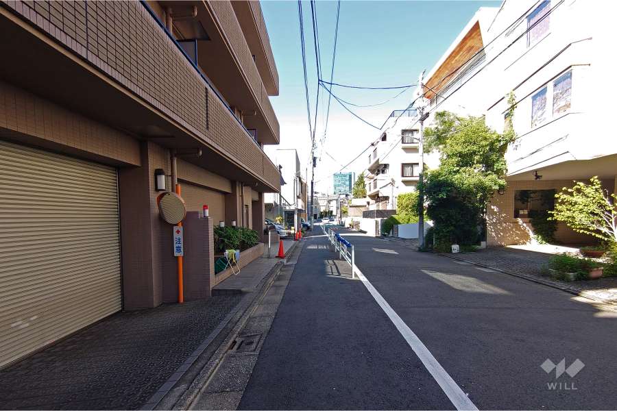 敷地北東側の前面道路（南東側から）