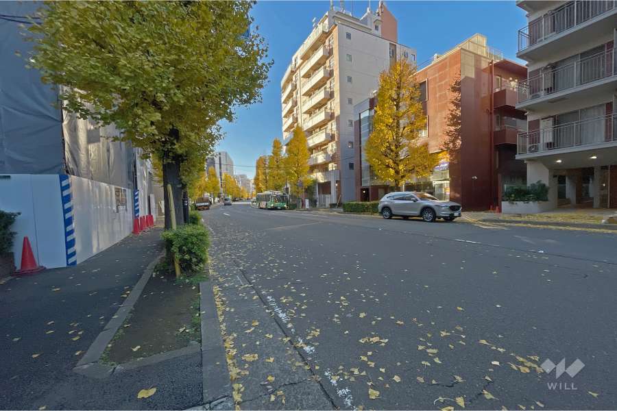 敷地西側の前面道路（北側から）