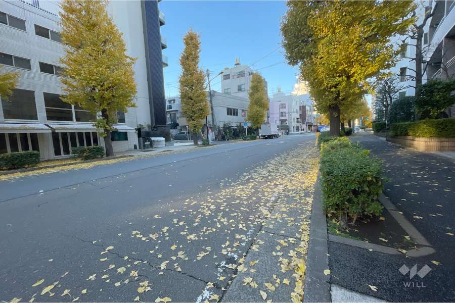 敷地西側の前面道路（南側から）