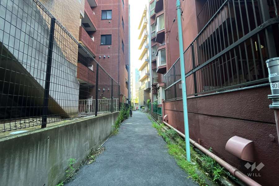 敷地西側の通路