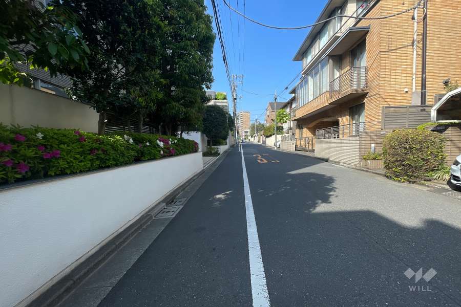 敷地北西側の前面道路（北東側から）