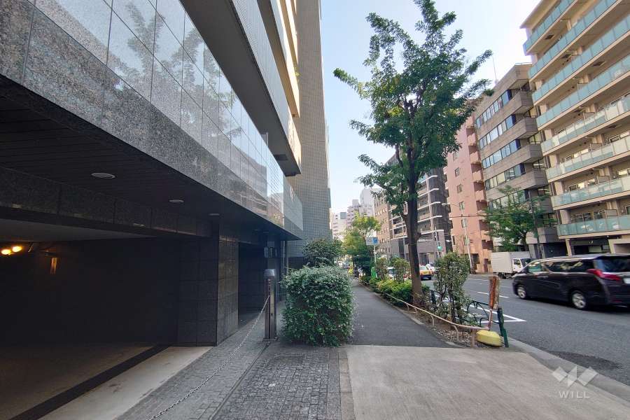 敷地南西側の前面道路（北西側から）