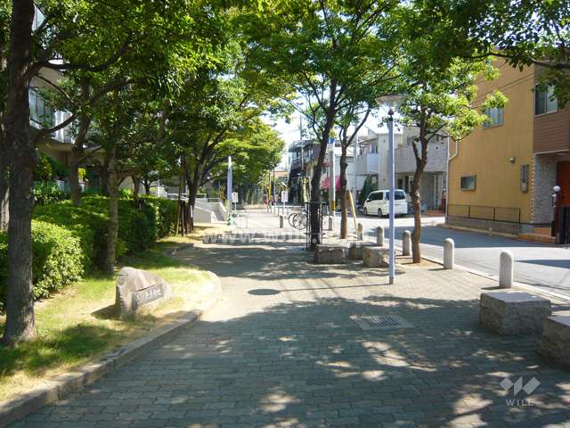 南側の前面道路。歩道と緑地スペースが設けられています。