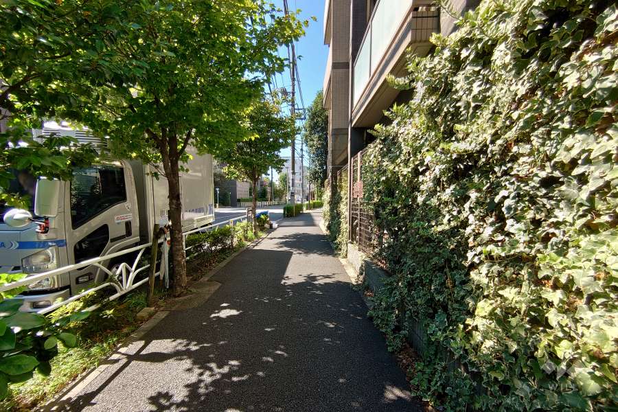 敷地南西側の前面道路（南東側から）