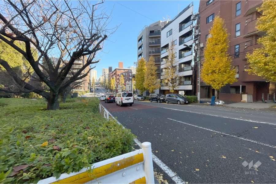敷地北西側の前面道路（南西側から）