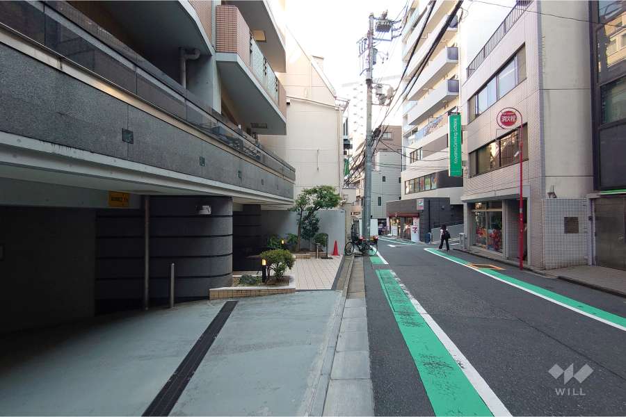 敷地南西側の前面道路（北西側から）