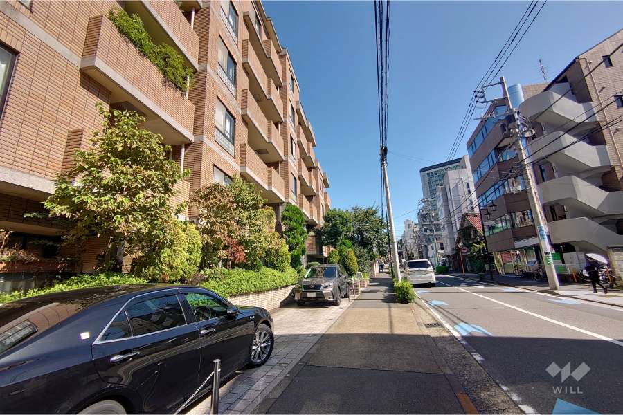 敷地南東側の前面道路（南西側から）