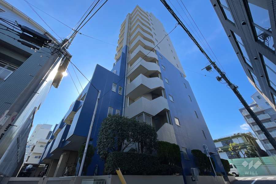 シテリオ渋谷松濤の外観（北東側から）