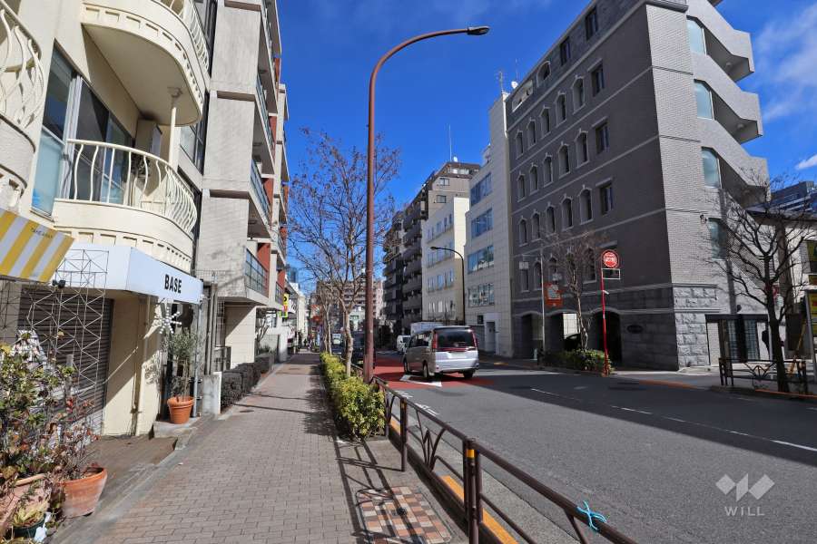 敷地南側の前面道路（西側から）