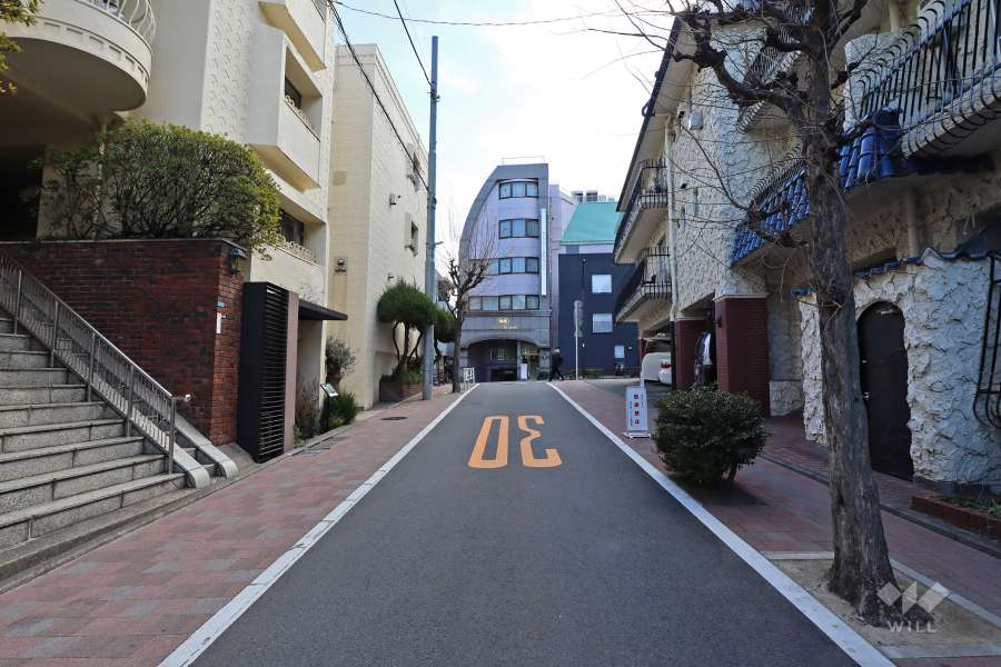 敷地西側の前面道路（北側から）