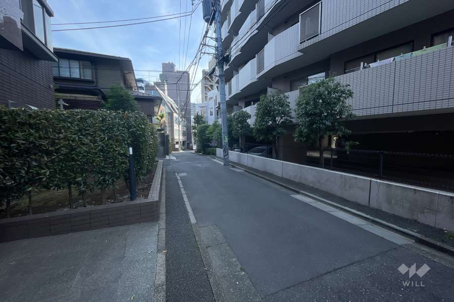 敷地西側の前面道路（北側から）