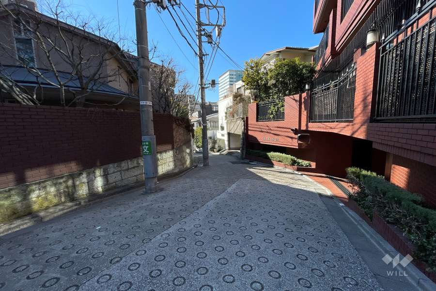 敷地南東側の前面道路（北東側から）