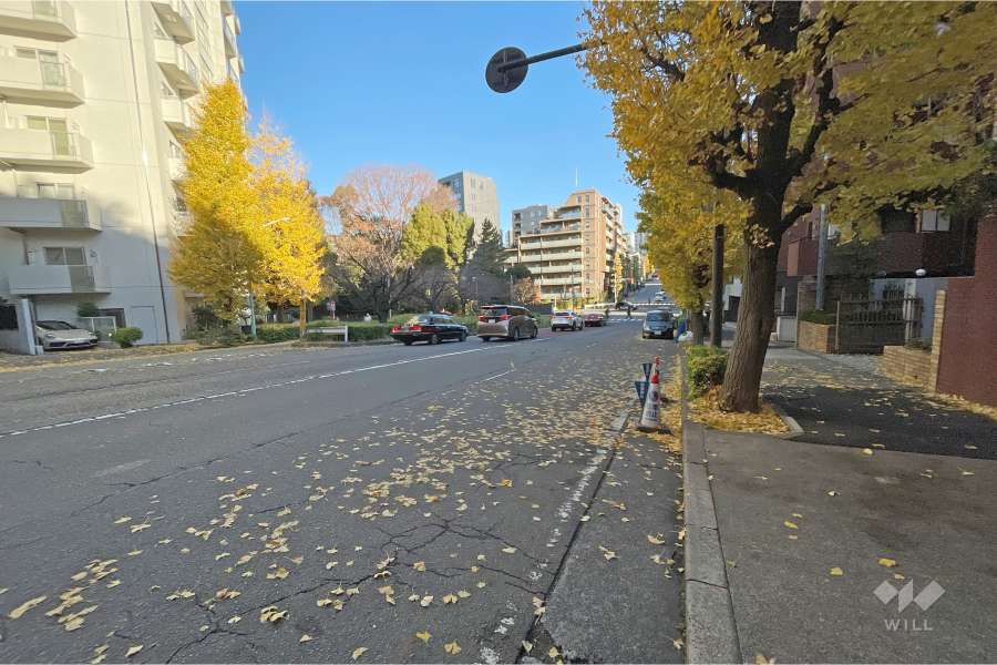 敷地北西側の前面道路（南西側から）