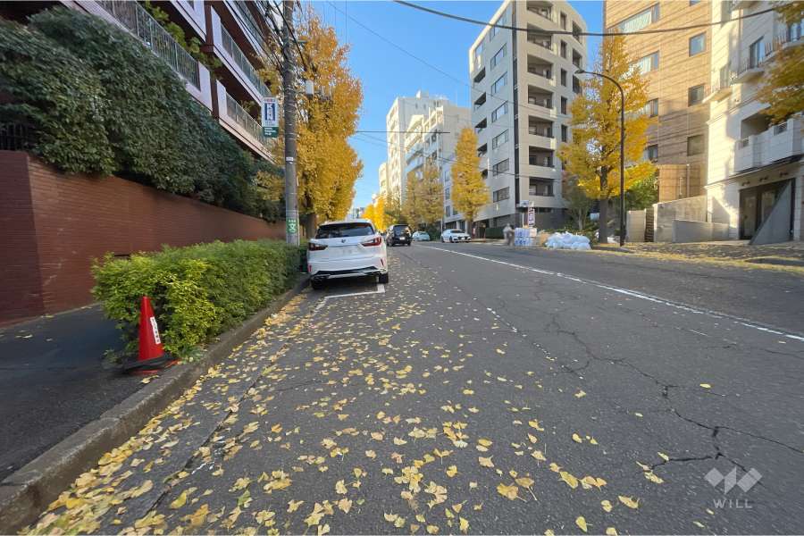敷地北西側の前面道路（北東側から）