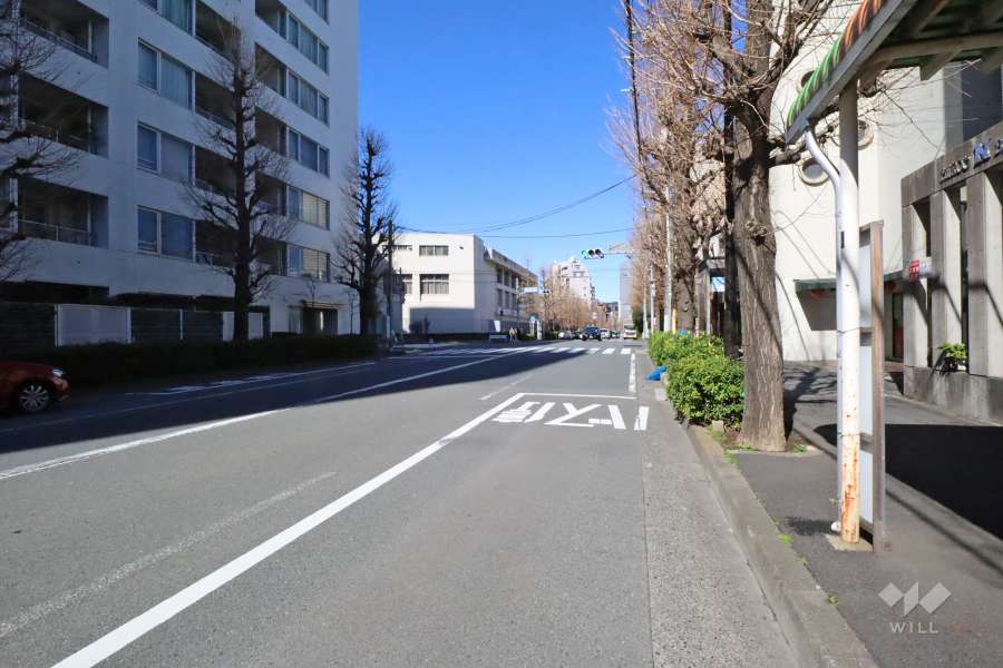 敷地東側の前面道路　