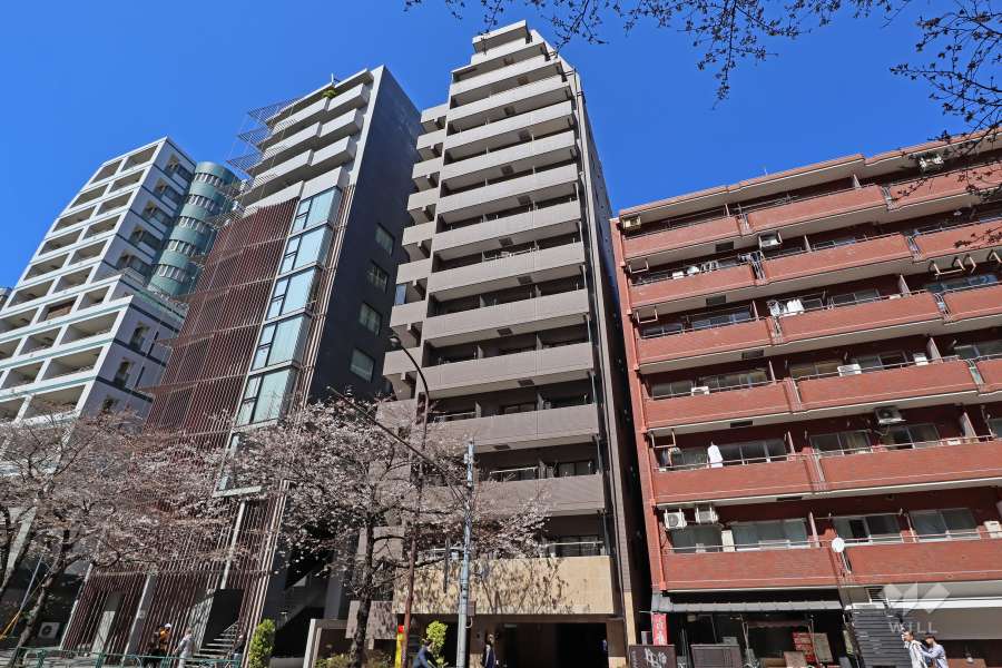 パレステュディオ広尾の外観（南東側から）