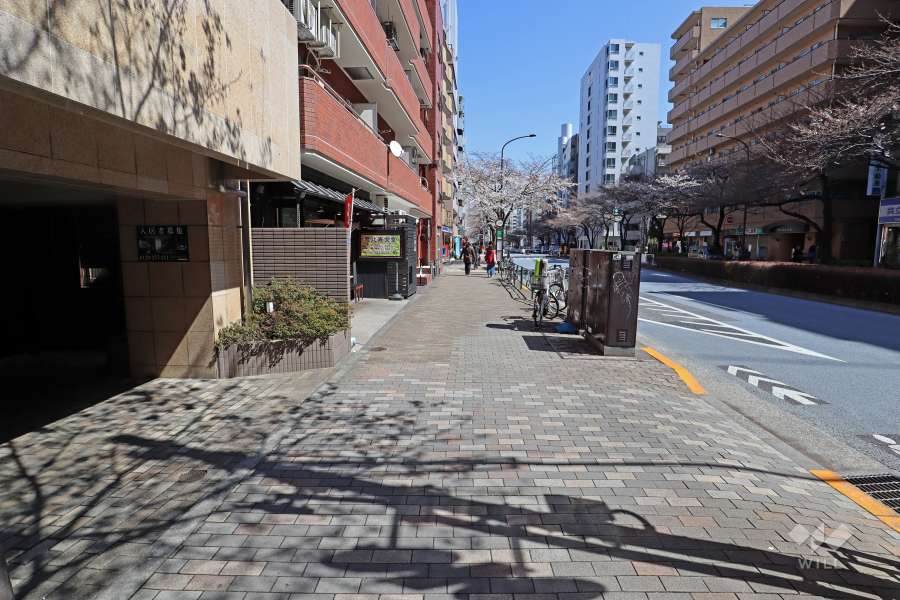 敷地南側の前面道路（東側から）